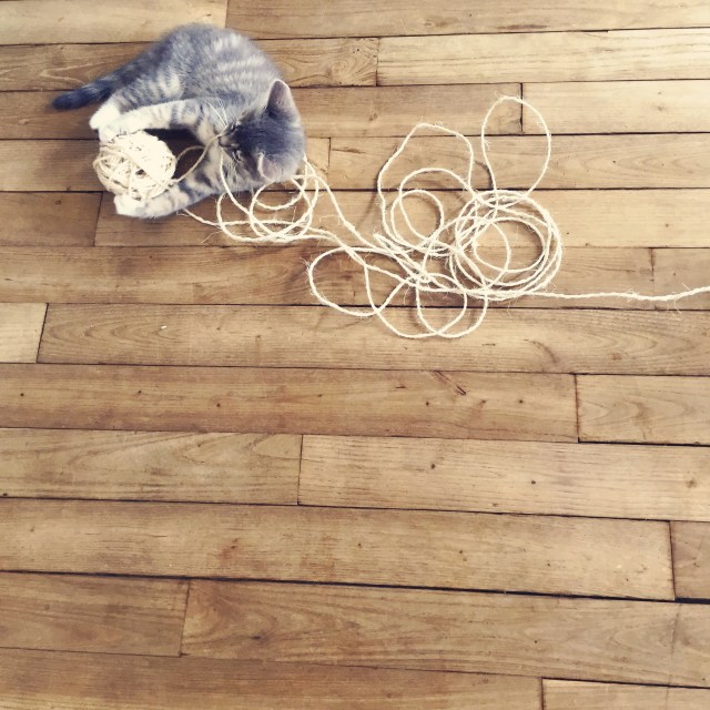 Observer Hashtag s'amuser de tout...