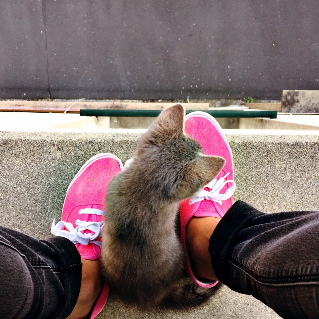 Avoir un pot de colle...